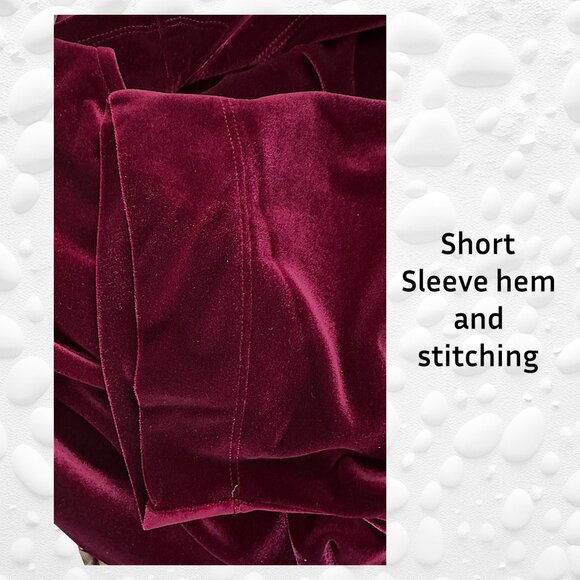 Mr. Max Fashion Velvet Deep Burgundy Top, S: Large – Like New - Picture 4 of 6